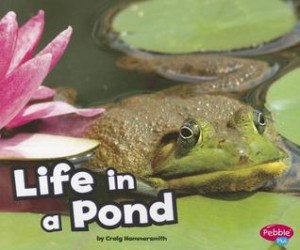 life in a pond