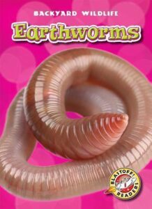 The cover of the Backyard Wildlife book Earthworms. The cover has a photograph of an earthworm curled up with a bright pink background.