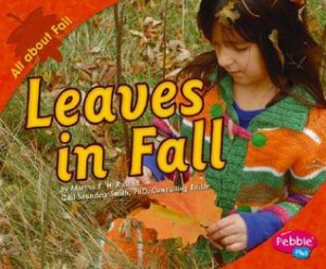 leaves in fall
