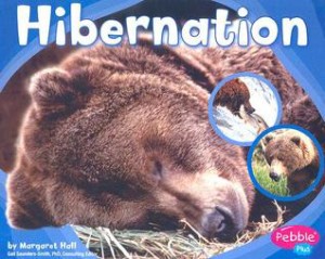 hibernation cover image