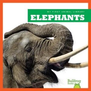 elephants cover image