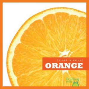 Orange book cover