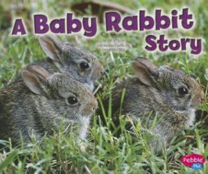  A Baby Rabbit Story book cover