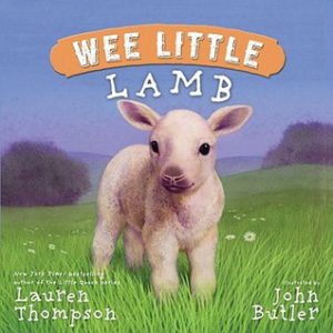 wee little lamb cover image