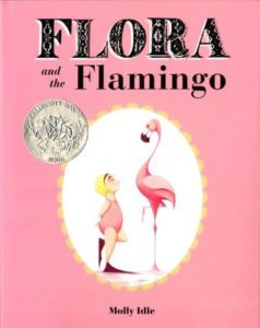 Flora and the Flamingo book cover